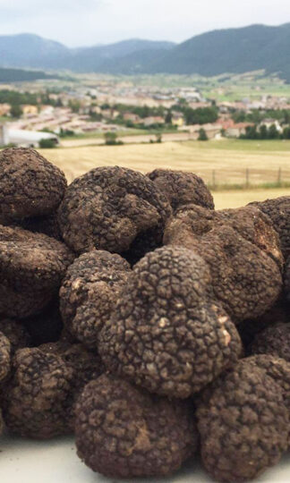 I Tartufi